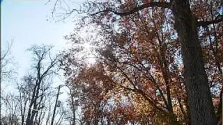 What Is An Indian Summer?
