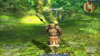 FFXIV Level 30 Lancer Quest Culture Shock
