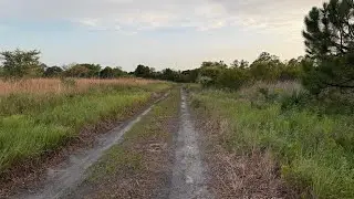 2025 Deer scouting part 1 (South Florida Public land)