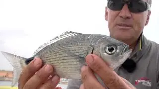 Italian Fishing TV - Tubertini Feeder in Tour - Feeder Fishing ad Arbatax