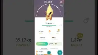 My 1500 cp Pokemons 👻