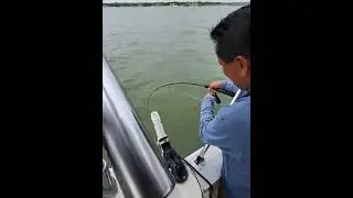 Catfish Tactics: Catching Giant Channel Cats
