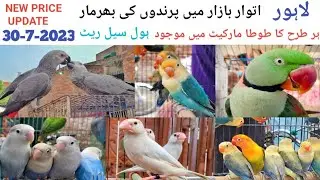 SHALIMAR SUNDAY BIRDS MARKET LATEST PRICE UPDATE 30-07-2023 | @BirdsEntertainment