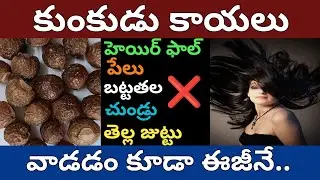 Kunkudu Kai shampoo | Soap Nuts in Telugu | Hair Growth