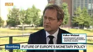 Italy Still a Danger Spot for Euro: Volker Wieland