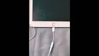 HOW TO USE APPLE Lightning to 3.5 mm Headphone Jack Adapter