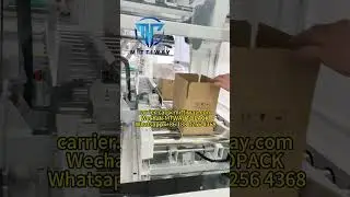Bag Inserter Machine Food Packaging Machine Instant Carton Bag Inserting Machine