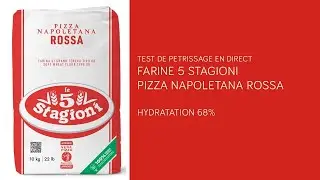 Test PETRISSAGE 5 STAGIONI PIZZA NAPOLETANA pour Napolitaine Contemporaine | Hydratation 68%
