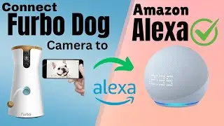 Furbo 360&deg; Dog Camera Setup With Amazon Alexa | Devicessetup