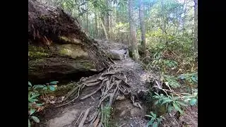 A beautiful waterfall with a horrifying name! Dog Slaughter Falls!