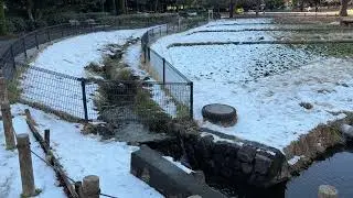 2026-0002:日々具手／＼…321日目 #vlog #日記 #日常 #ブログ #公園散歩 