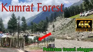 Kumrat Forest|kumrat valley travel vlog|Road trip to kumrat waterfall|pakistan travel vlogger|road|