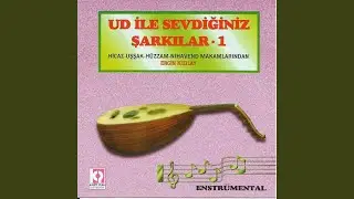 Yalnız Bırakıp Gitme