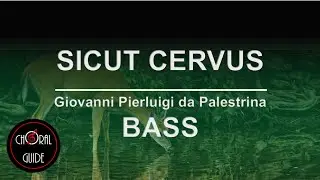Sicut Cervus - BASS | GP Palestrina