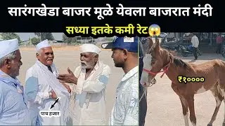 आजचा येवला घोडा बाजार 18-11-2025 सध्या मंदी😱
