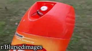 r/Blursedimages | natural selection
