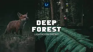 Deep Forest - Free Lightroom Mobile Preset | Moody Deep Preset