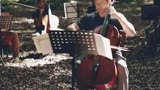 summer cello academy concert in the wild