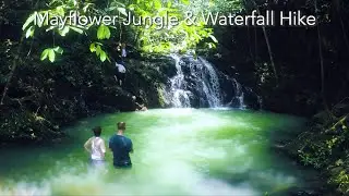 Mayflower Jungle & Waterfall Hike