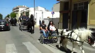 Turi  sfilata cavalli e carrozze 14-04-2013
