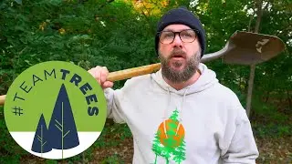 20 Million Trees? Are You Kidding Me??