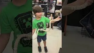 Two Headed Skeleton Snake Spirit Halloween 2025