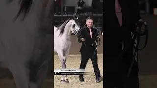 Любовь с первого взгляда: 𝗞𝗵𝗮𝗹𝗱𝘂𝗻 𝗔𝗹𝗯𝗶𝗱𝗮𝘆𝗲𝗿.
