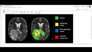 cv2 images function in google colab