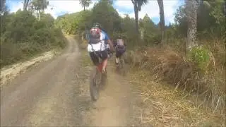 The TIMBER TRAIL - NZ