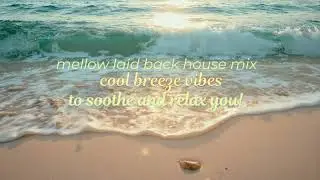 Serene beach vibes cool down house mix 121 bpm