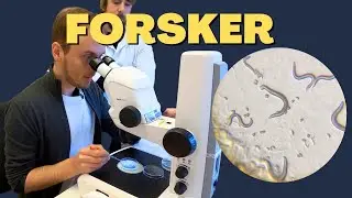 Forsker - hvordan leve lenger?