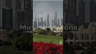 Is Islam the future ? #cobra #life #islam #society #family