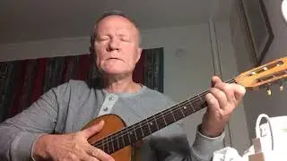 Andro verdan