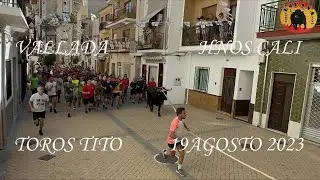 Vallada toros en cuerda Hnos Cali  4K