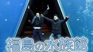 【二人旅番外編】お魚が大好きな二人が行くと水族館も美食の宝庫！！？