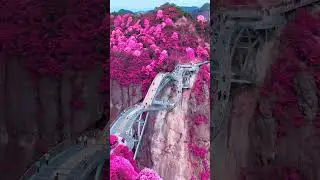 Most Beautiful Landscapes in the World 🌍#landscape #nature #travel #world #beautiful #scenery #earth