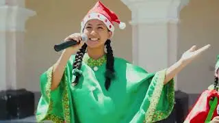 TINKUS DE NAVIDAD LEONCIOPRADINA