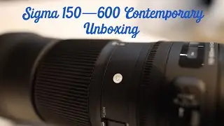 Sigma 150-600 C Unboxing and First Thoughts