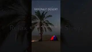 Moonlit Desert Night | 10 h Deep Sleep Nature Sounds #shorts