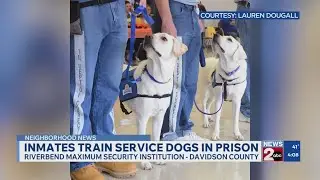 Nashville prison service dog program seeks training supplies