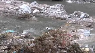 غيل شرجة هنج _امطار 10/3/2016