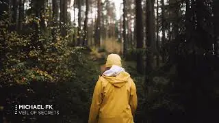 Michael FK - Veil of Secrets