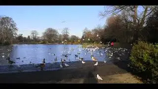 ALVASTON PARK DERBY UK