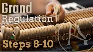 Grand Regulation Steps 8-10!