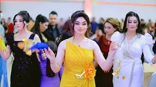 الفنان شاكر حلو حفلة زفاف ماهر & سامية تصوير ماكس فيديو