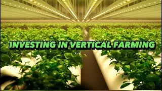 MAKING MONEY IN THE VERTICAL FARMING INDUSTRY 💰🔥
