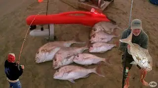 Part 2 - fishing the 90mile - a very fishy ending to an epic day on the magical 90 (surfcasting fun)