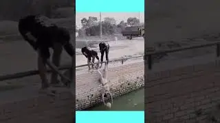 Momento XD #funny #viralvideo #funnyvideo #locorandom