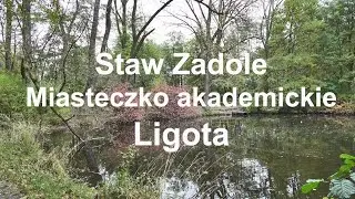 🇵🇱 Ligota Akademiki. Staw Zadole. Katowice. Śląskie. Polska.