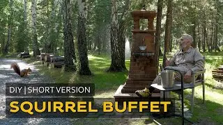 Short version | Squirrel Buffet | Bird Feeder | DIY